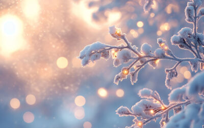 Winterpflege & Regeneration im Dezember